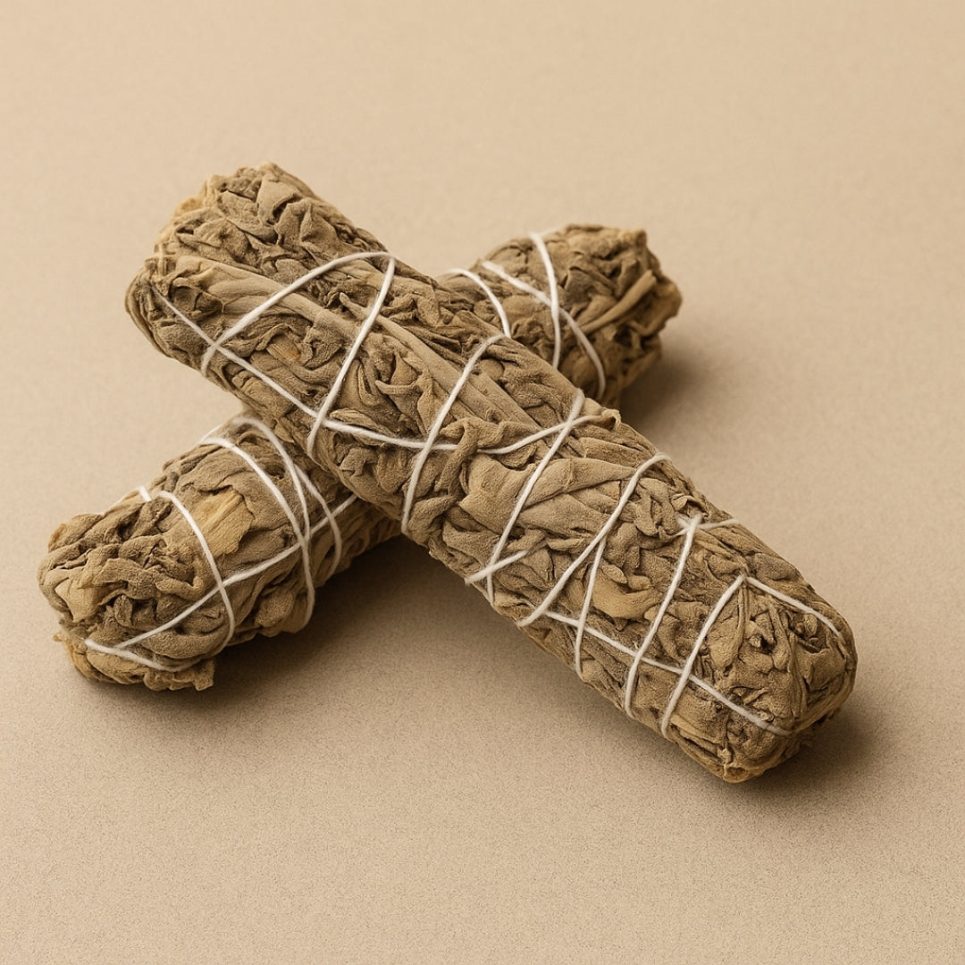 Sage (Salvia) (Price is ₹500 per 100grams)